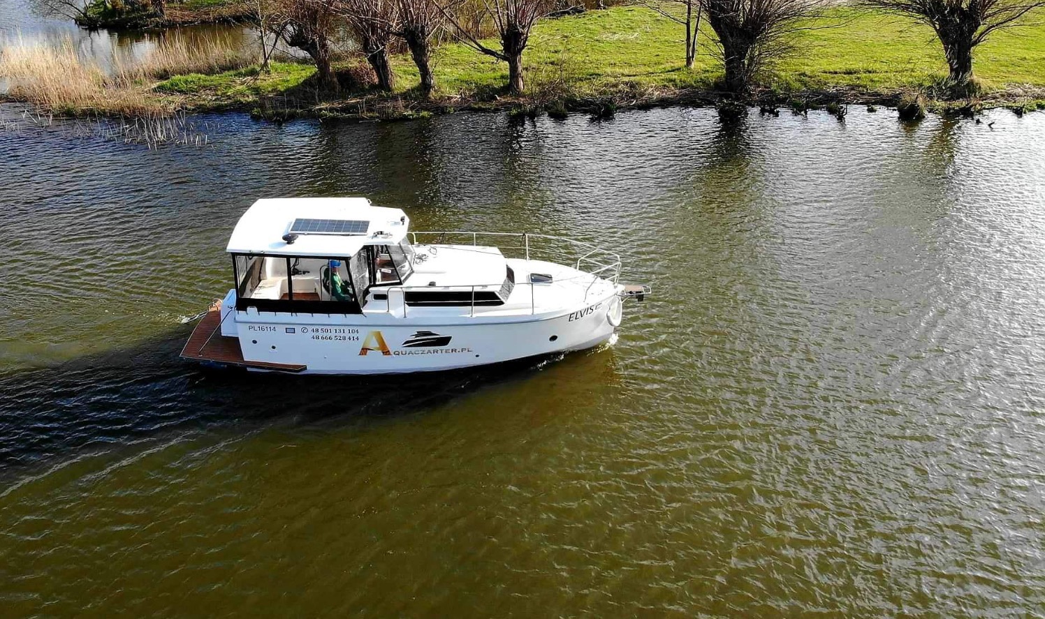 Aquaczarter - Elvis zdjęcia